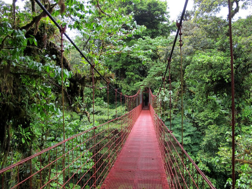 File:Monteverde puente.jpg - Wikimedia Commons