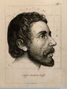 Head of a bearded man seen in profile, 