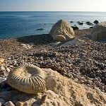 Want to find a piece of Earth’s ancient history? Well on the Jurassic Coast you can… if you know where to look. Visit the Jurassic Coast World Heritage Site for tips and advice on being a responsible fossil hunter