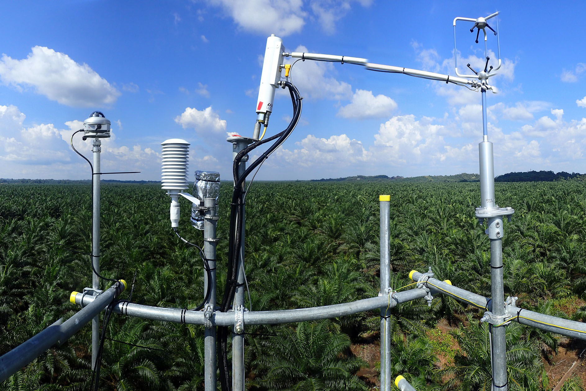 Eddy Covariance Measurements at one of our Oil Palm sites in Sarawark, Malaysia