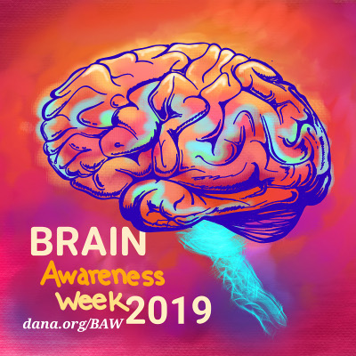 Mind Over Matter – Brain Awareness Week