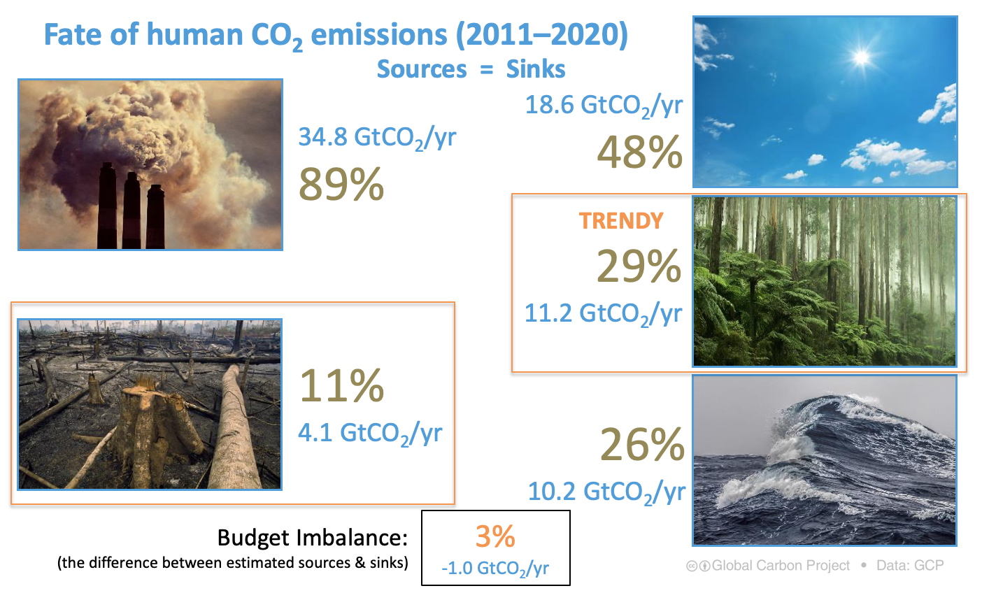 TRENDY: Trends in the land carbon cycle