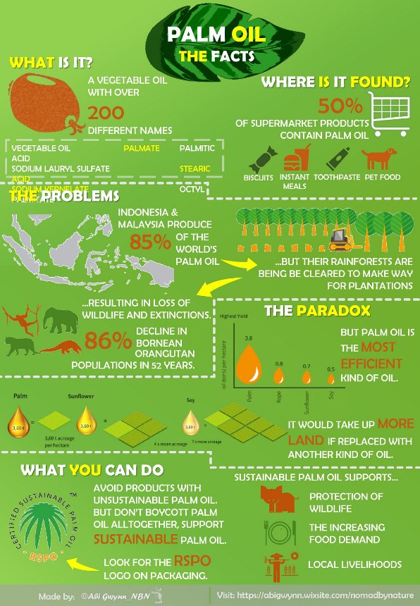 SSForests_Palm_Oil_Infographic | Centre For Ecology And Conservation