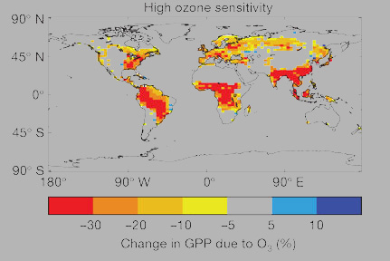 Ozone and GPP (Sitch et al. 2007)