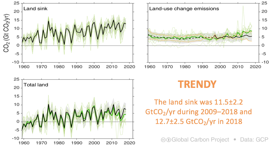 TRENDY: Trends in the land carbon cycle